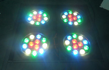 ผู้ชมนำ Dmx Blinder Light 4 ดวง Rgbw DJ Stage แสงระดับมืออาชีพ