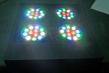 ผู้ชมนำ Dmx Blinder Light 4 ดวง Rgbw DJ Stage แสงระดับมืออาชีพ